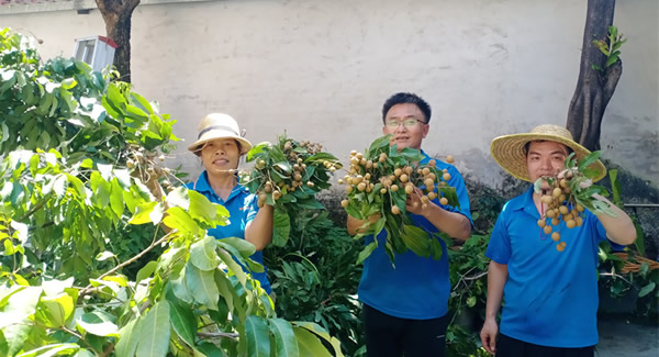 摘一顆龍眼，品一份團圓，謝一次饋贈 | 廣有五金&東莞合頁?